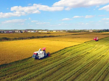 农药减施增效技术示范方案